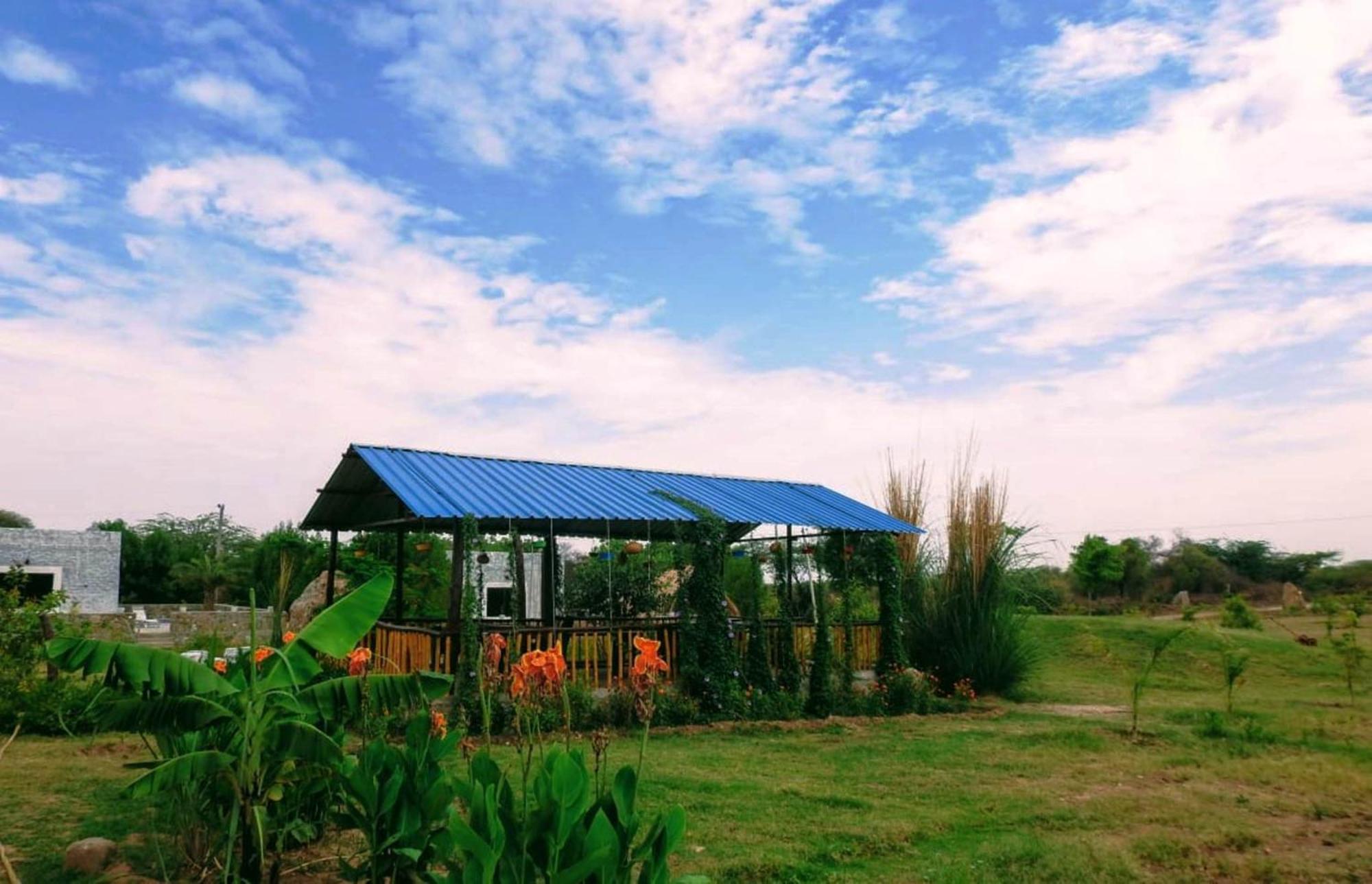 Jawai Wildlife Safari Camp Bed & Breakfast Nana Dış mekan fotoğraf