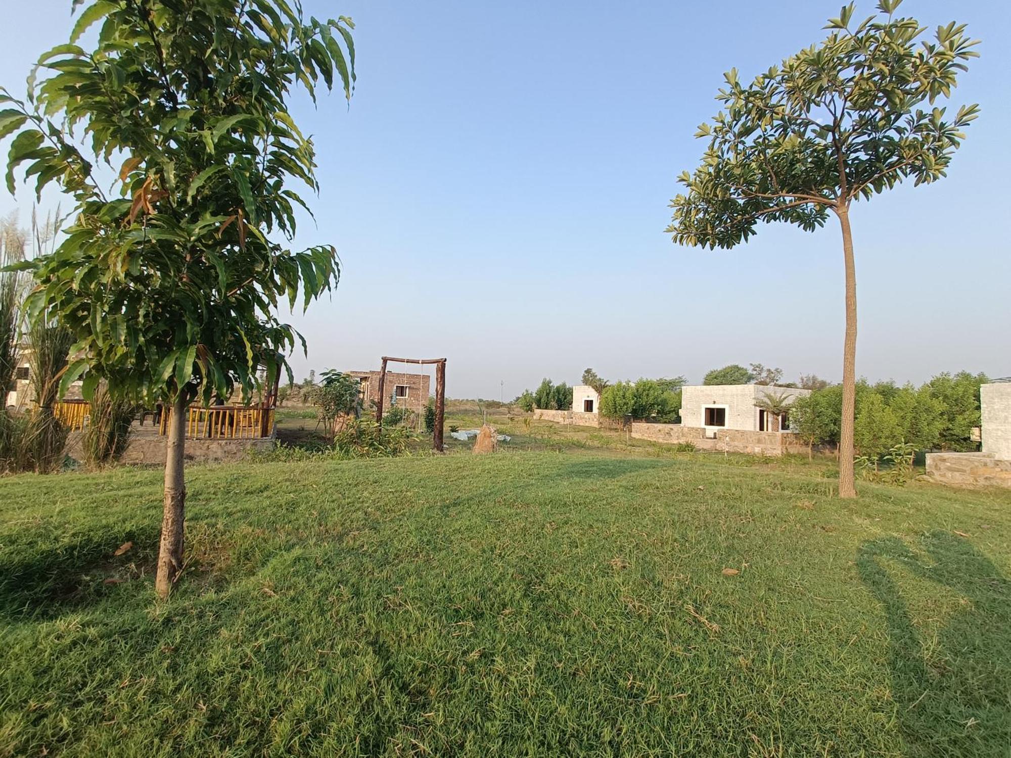 Jawai Wildlife Safari Camp Bed & Breakfast Nana Dış mekan fotoğraf