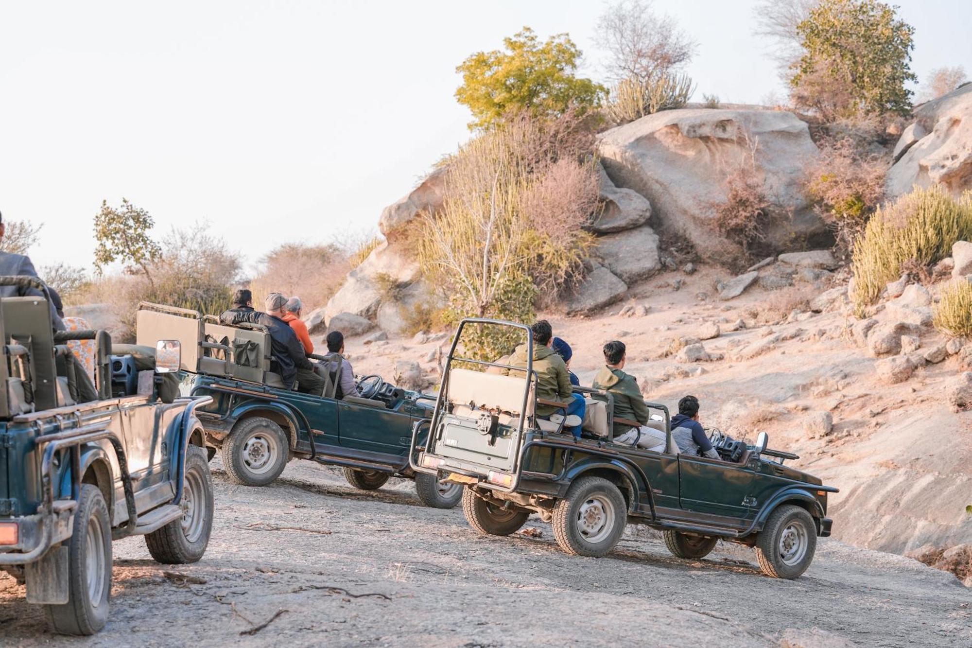 Jawai Wildlife Safari Camp Bed & Breakfast Nana Dış mekan fotoğraf